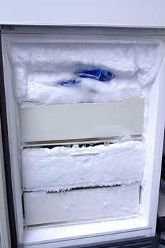 manu freezer2